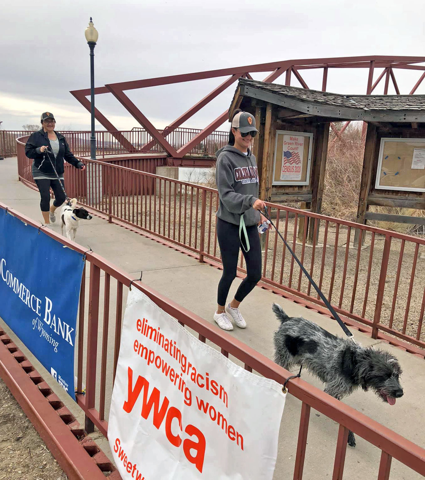 Canine companions